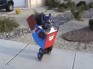 Gif of a little kid in a Transformer costume turning into a Transformer